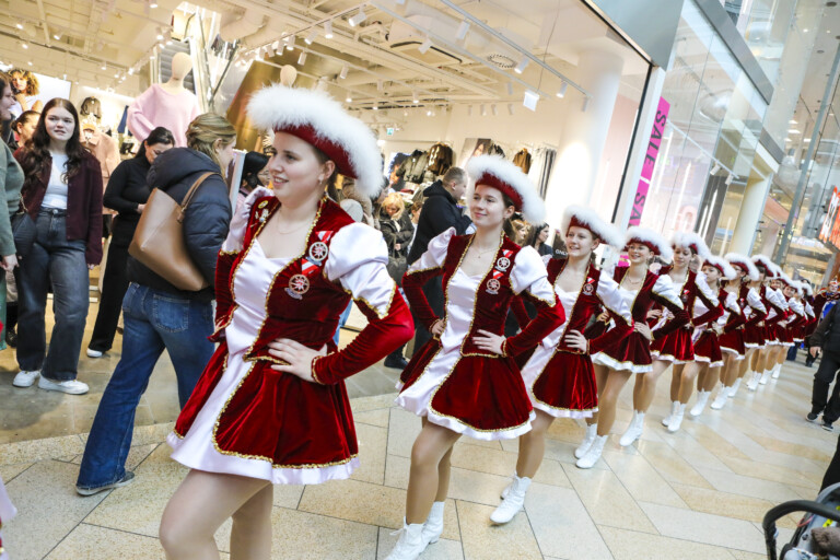 IngeStreifPhotography_Faschingsumzug-194